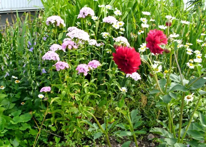 Kyläsepän Maja Loma-asunnot *