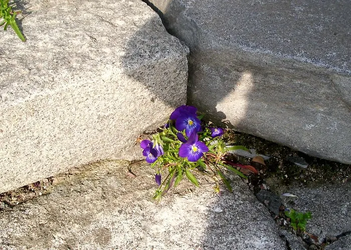 Kylaesepaen Maja Ferienhaus Miehikkala
